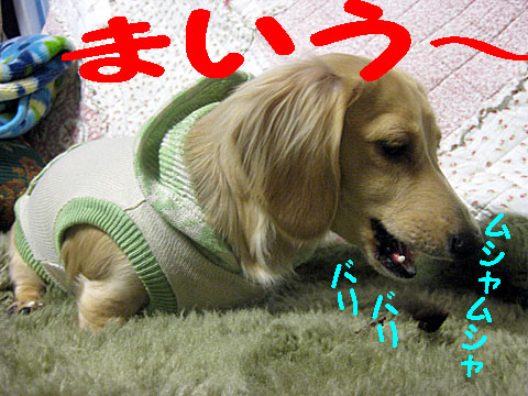c0108112_2013762.jpg