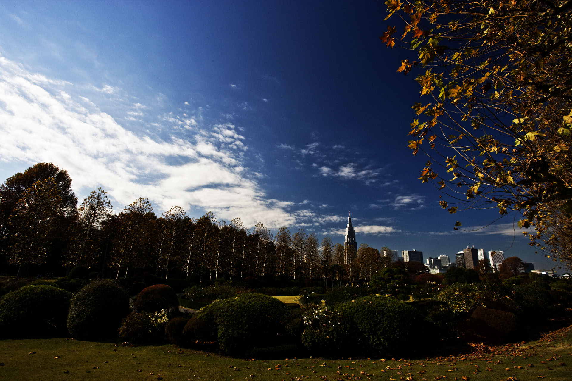 d0073620_10145732.jpg