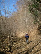 f0177521_1852569.jpg