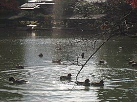 d0149223_14201184.jpg