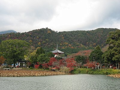 ２００８年　京都の紅葉　～　ココロノセンタク　～_d0149223_1441896.jpg