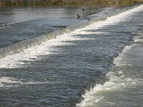 d0149223_2333771.jpg