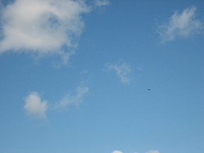 d0149223_23473038.jpg