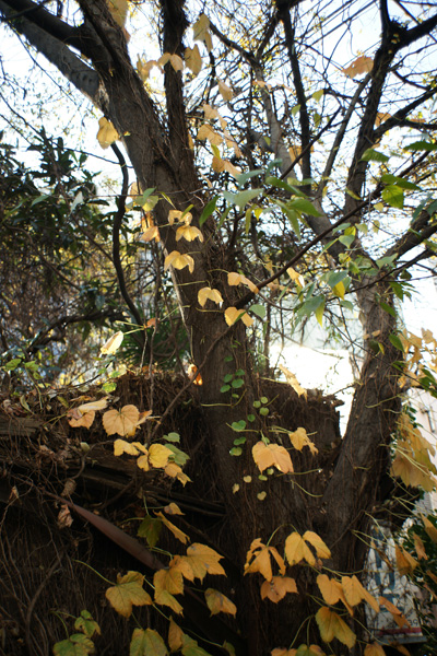a0068424_2342912.jpg