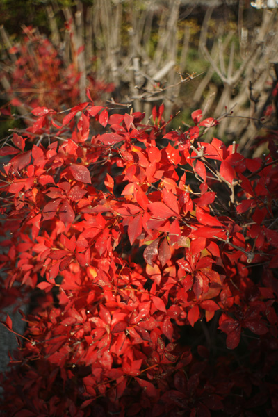 a0068424_2343361.jpg