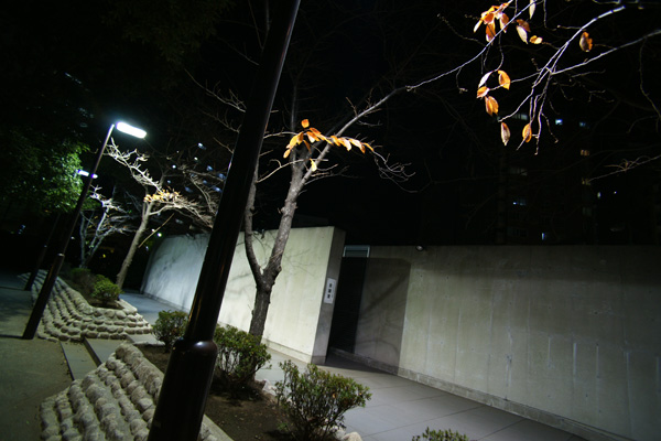 a0068424_23441431.jpg