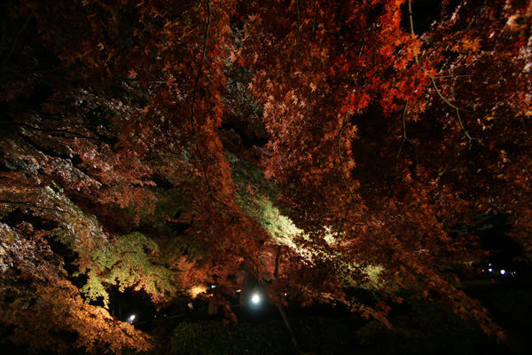 a0068424_2344271.jpg