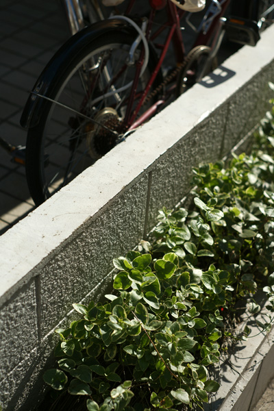 a0068424_235392.jpg