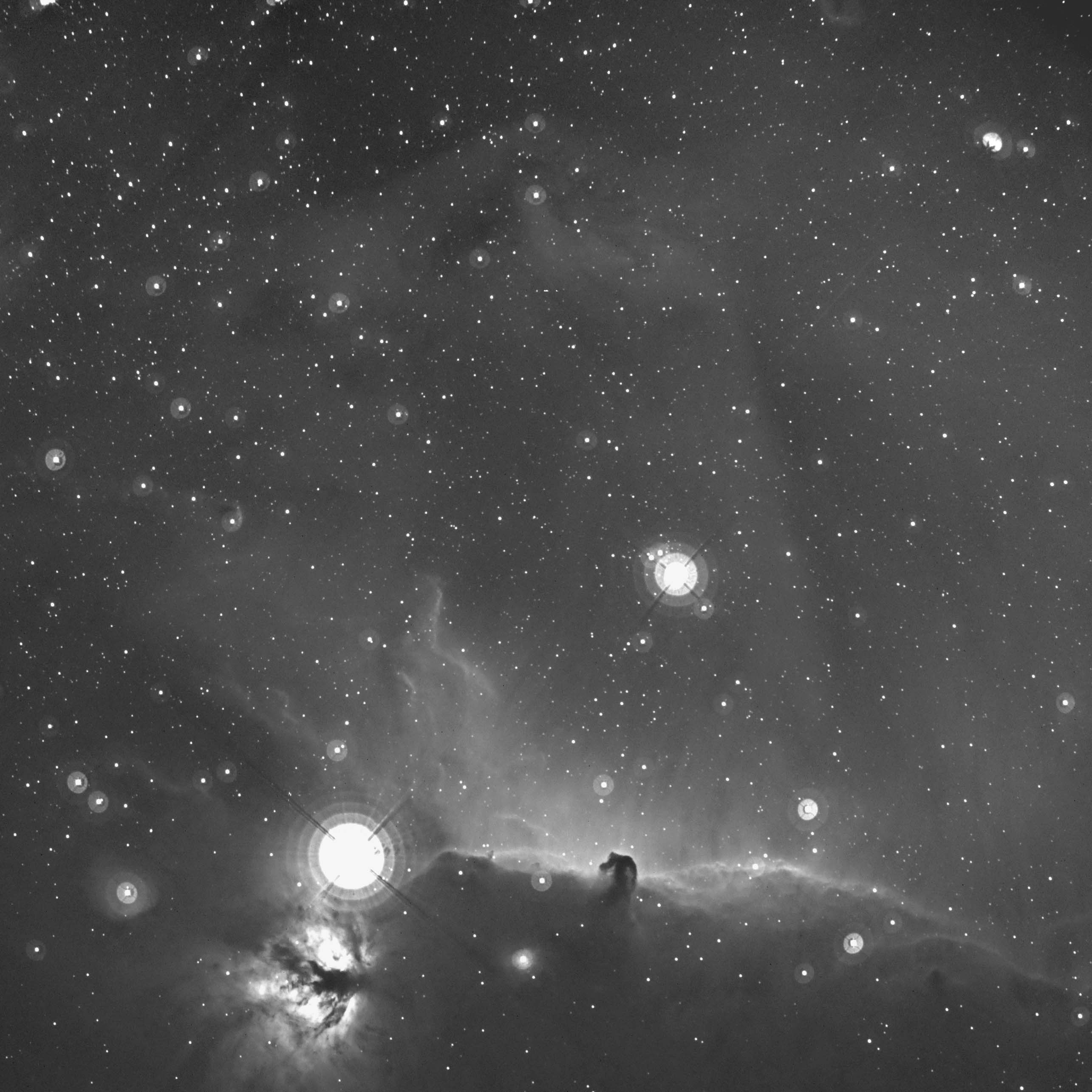 今シーズン初めての 馬頭星雲 Ha_c0061727_0265429.jpg