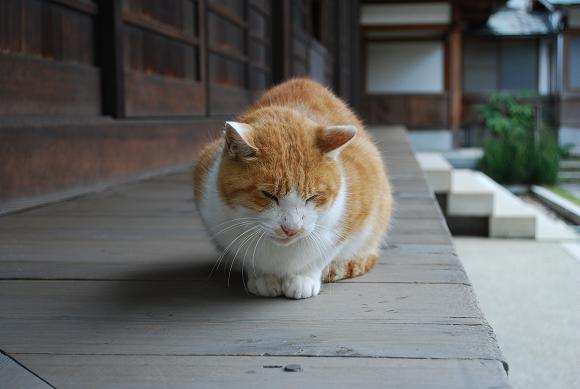 鎌倉12月　浄妙寺　その①_d0085228_23355978.jpg