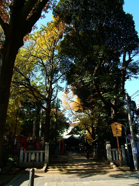 e0089232_3225178.jpg