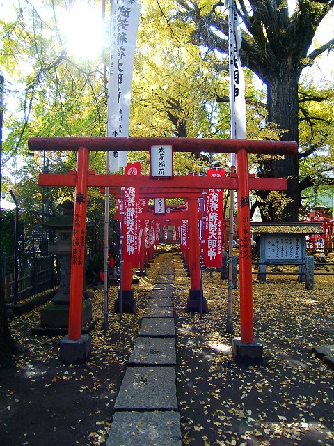 e0089232_323370.jpg
