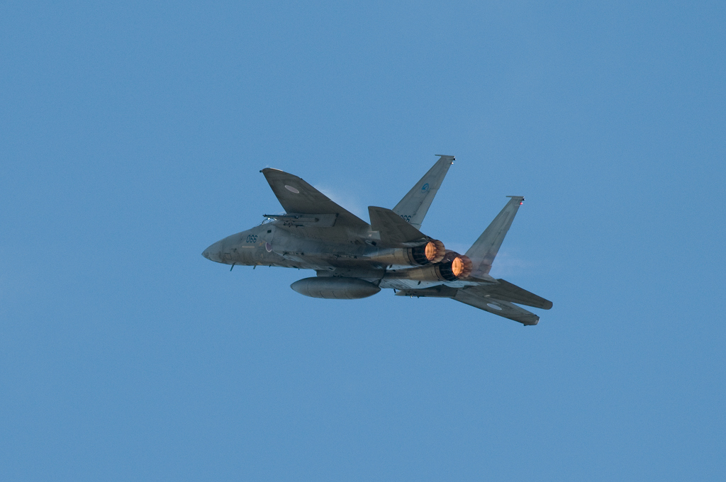 岐阜航空祭2008　F-15　【コメント書込み不可】_f0109432_2343475.jpg