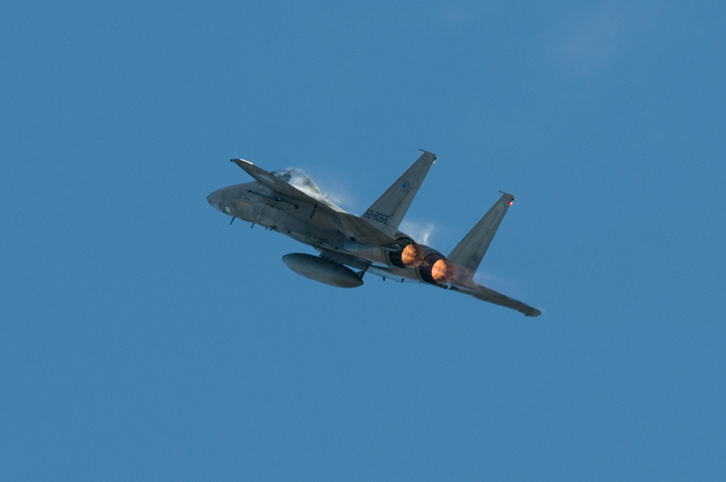 岐阜航空祭2008　F-15　【コメント書込み不可】_f0109432_235646.jpg