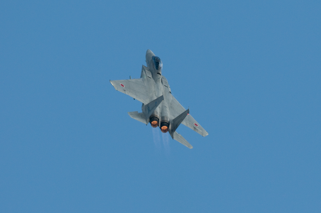 岐阜航空祭2008　F-15　【コメント書込み不可】_f0109432_2362264.jpg