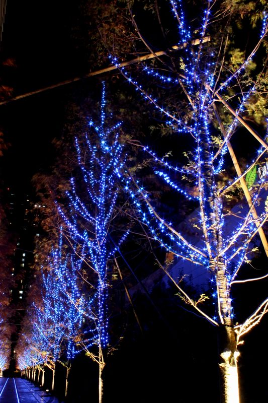 c0138642_2173319.jpg