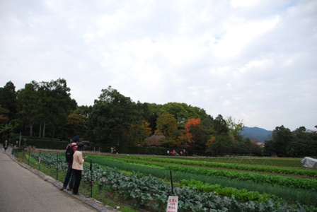 d0044544_17184446.jpg