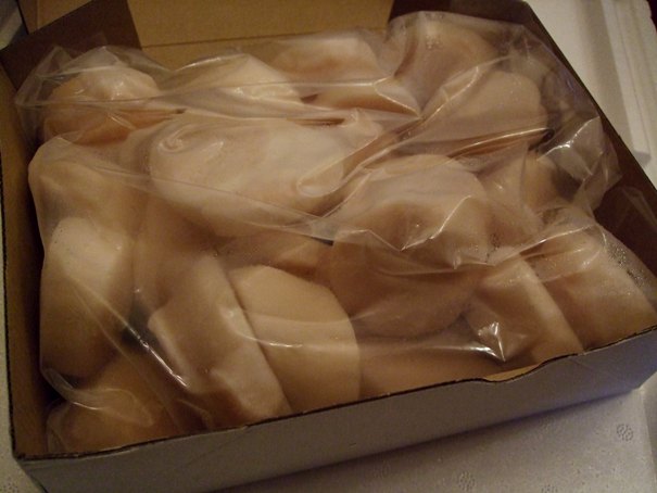 d0023346_19515079.jpg