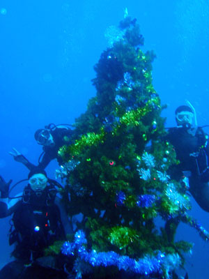d0058549_1962828.jpg