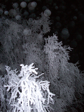 d0114149_9422847.jpg