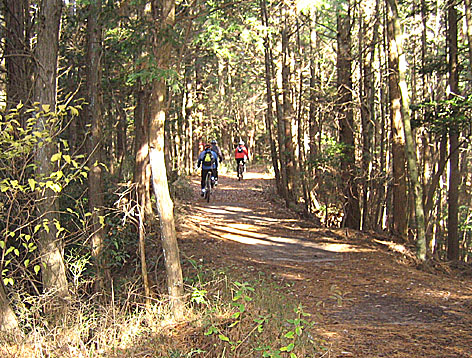 f0156359_2131373.jpg
