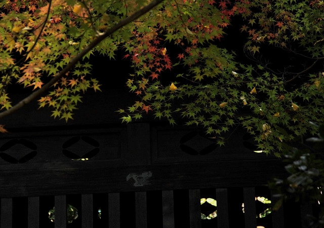 京都紅葉散策　～蓮華寺～　〈京都〉_f0033161_18314678.jpg
