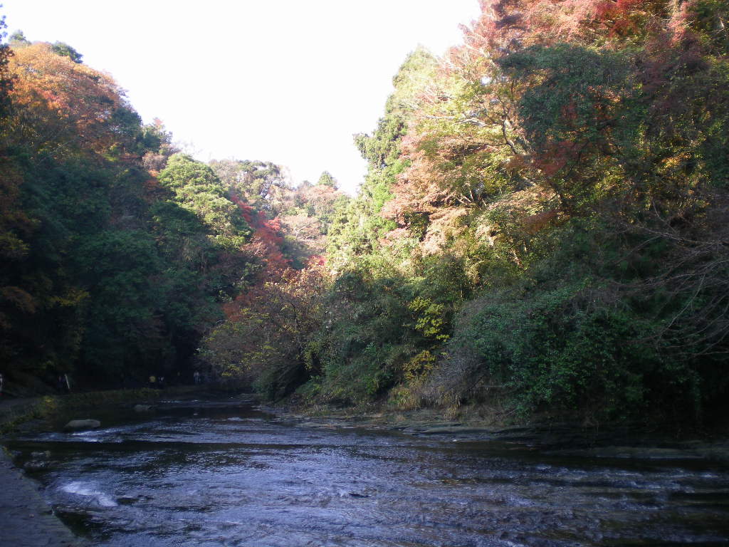 ２００８年１２月６日（土）養老渓谷へ紅葉三昧！その１_f0060461_733975.jpg