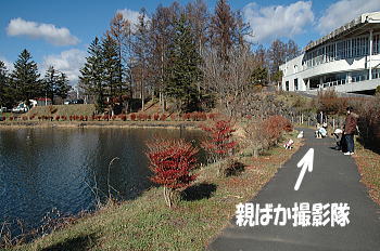 f0118263_15394911.jpg