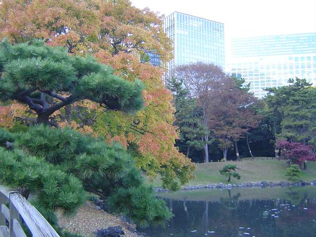 恩賜公園、芝離宮、浜離宮（２）_d0081669_8211322.jpg