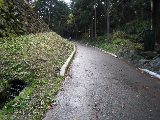 a0087378_8572059.jpg