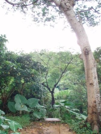 e0121286_6358.jpg