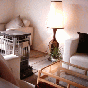 d0100192_0202022.gif