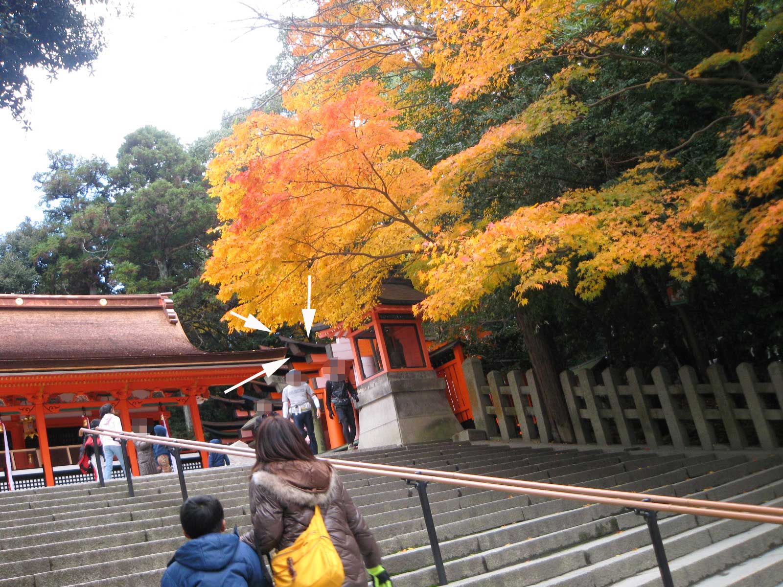 c0060693_18213534.jpg
