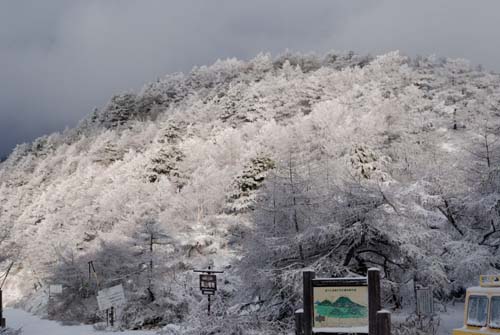 全山霧氷の朝_e0120896_875473.jpg