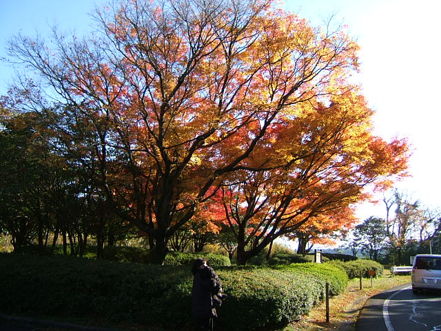 c0037701_1032245.jpg
