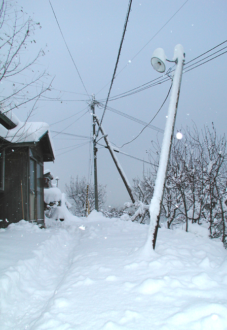 c0170208_2321878.jpg