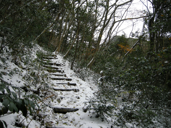 井原山　井原山自然歩道より山頂へ　2008.12.07　№123_f0196109_16331917.jpg