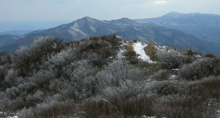 井原山　井原山自然歩道より山頂へ　2008.12.07　№123_f0196109_16355951.jpg