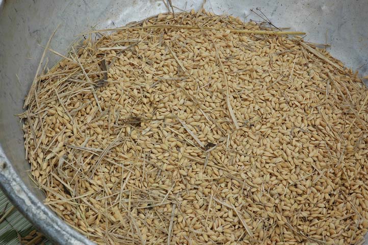 d0149411_237616.jpg