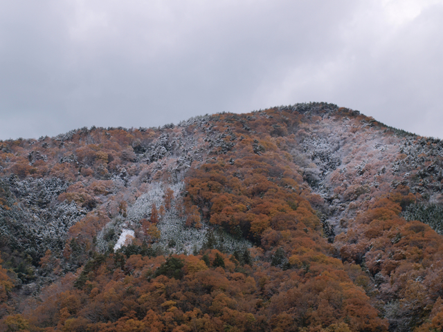 b0143214_21281440.jpg