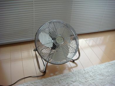 f0067815_20121831.jpg