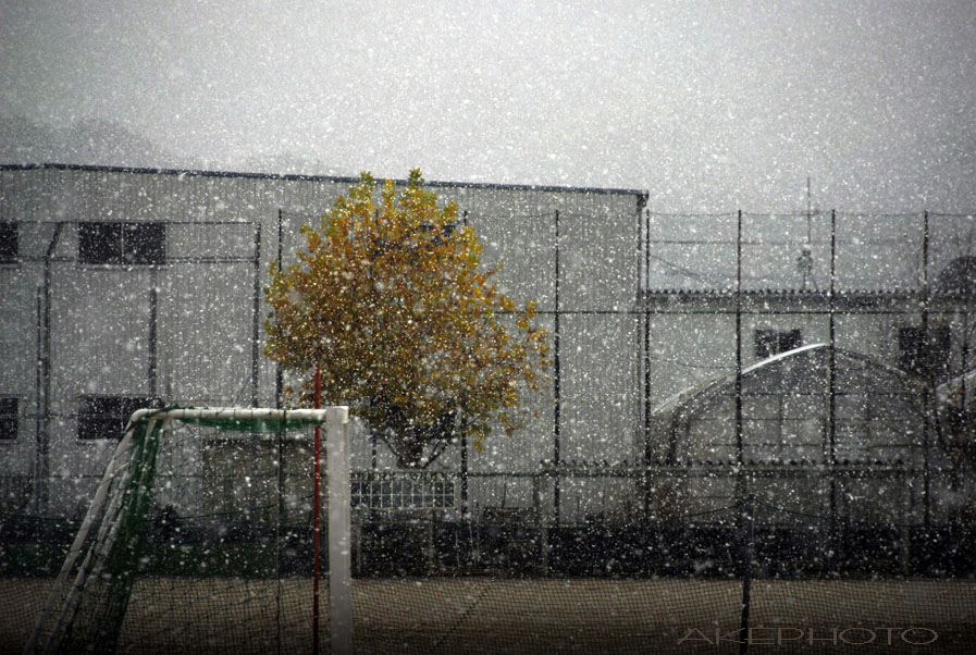 ・:*:・雪景色・:*:・_e0127416_1330582.jpg