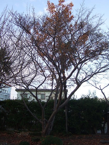 f0143119_23525921.jpg