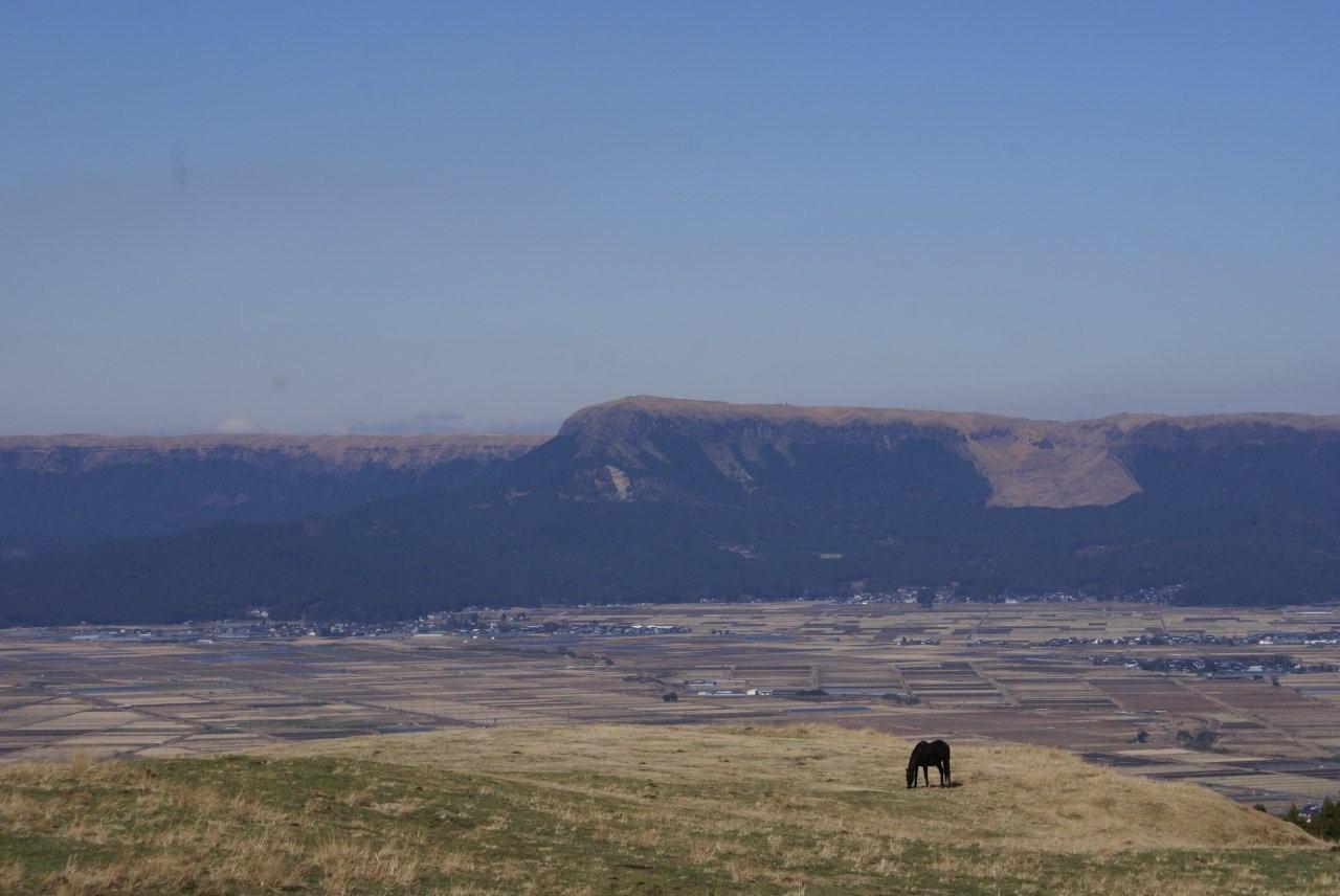 e0069622_20433045.jpg