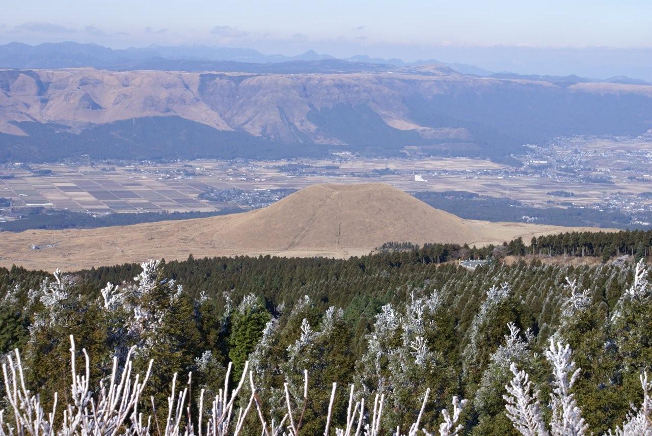 e0069622_2051245.jpg