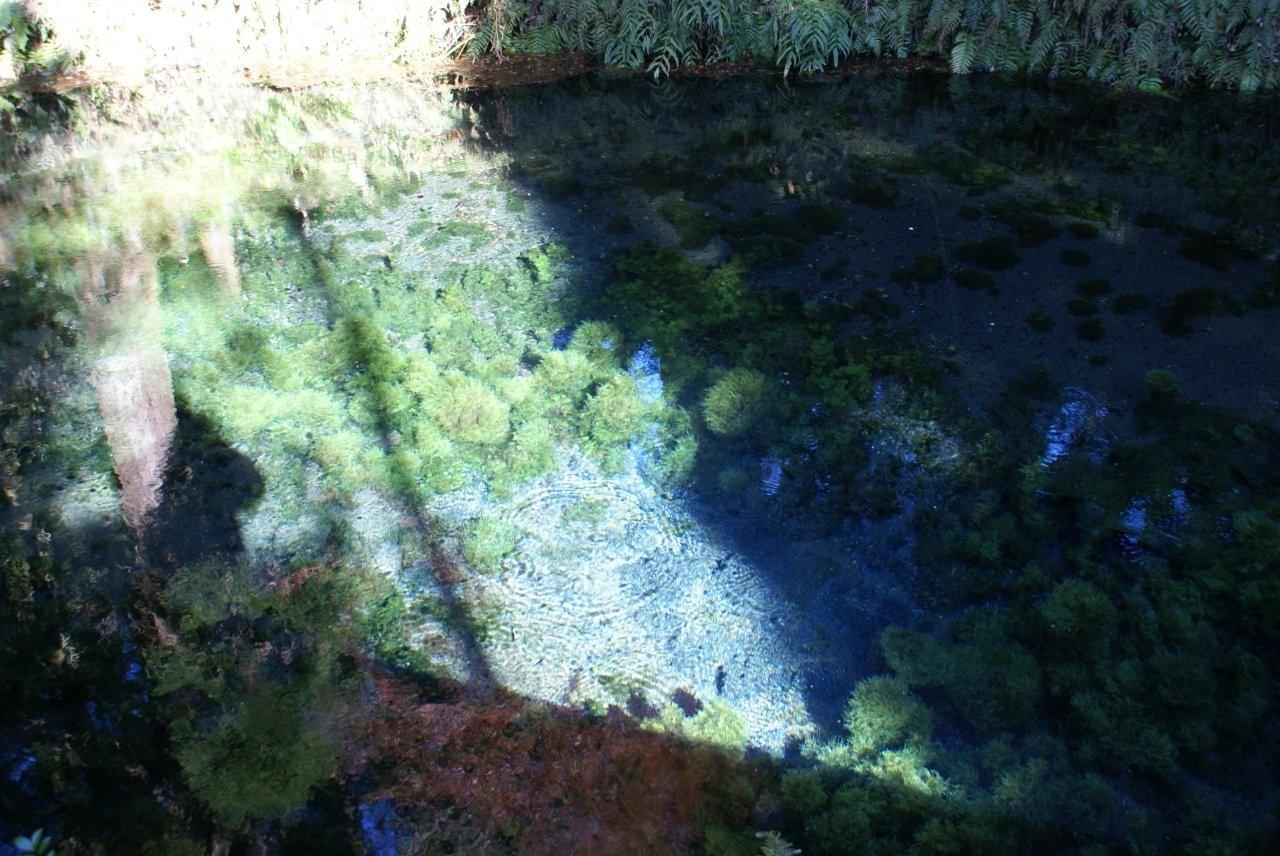 e0069622_20545182.jpg