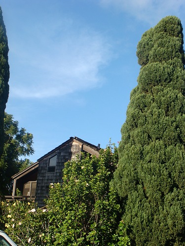 f0170524_5111573.jpg