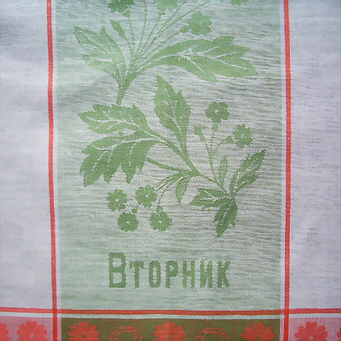 e0141025_522780.jpg