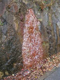 あまやん宅の近くの温泉水が湧いている場所について_b0054727_1222016.jpg