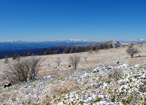 冬の八子ヶ峰ハイキング_d0102327_23541522.jpg